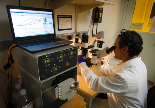 © National Cancer Institute, CC0, www.unsplash.com